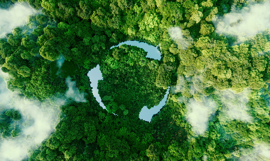 Aerial view of a dense green forest with rivers forming a recycling symbol