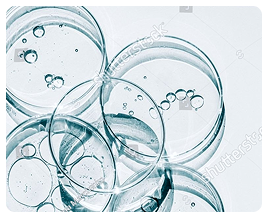 Petri dishes holding clear liquid samples