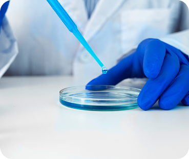 Gloved hand holding a petri dish while a pipette adds a sample