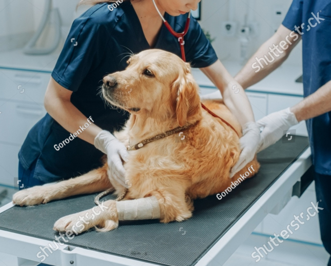 Two healthcare professionals shaking hands while colleagues talk in the background